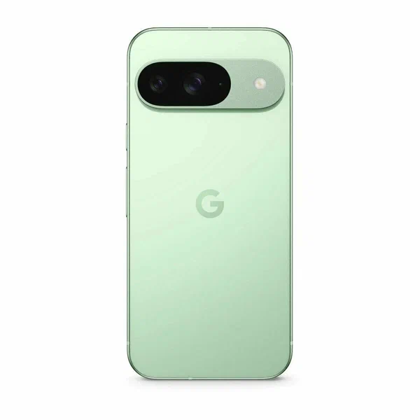 Смартфон Google Pixel 9 12/256 ГБ, зимнезеленый